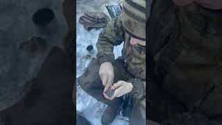 Ложка-вилка в немецком блиндаже #digging #metaldetecting #shortsyoutube #коп #ww2 #german #лес