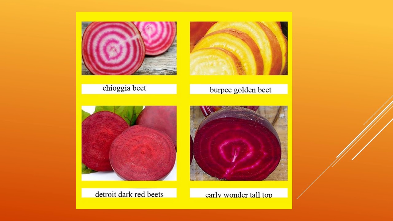 Health Benefits of Beets YouTube