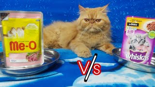 Meo Gravy Vs Whiskas Gravy ||Home made Persian cat food || fish Recipe for cat || Food Challenge