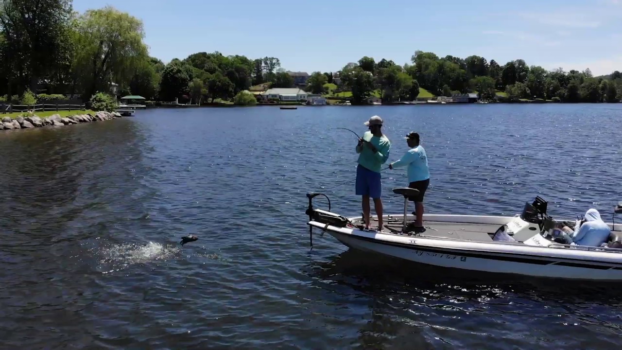 Topwater Smallmouth Bass Fishing YouTube