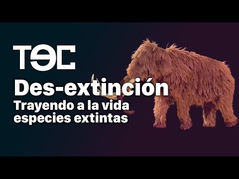 Vídeo: La Resurrección De Las Especies Extintas Comenzará Con Una Paloma Errante - Vista Alternativa