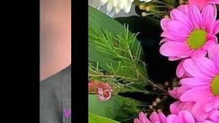 ABİL İSLAM - AY GƏNCLİYİM, HARDASAN...