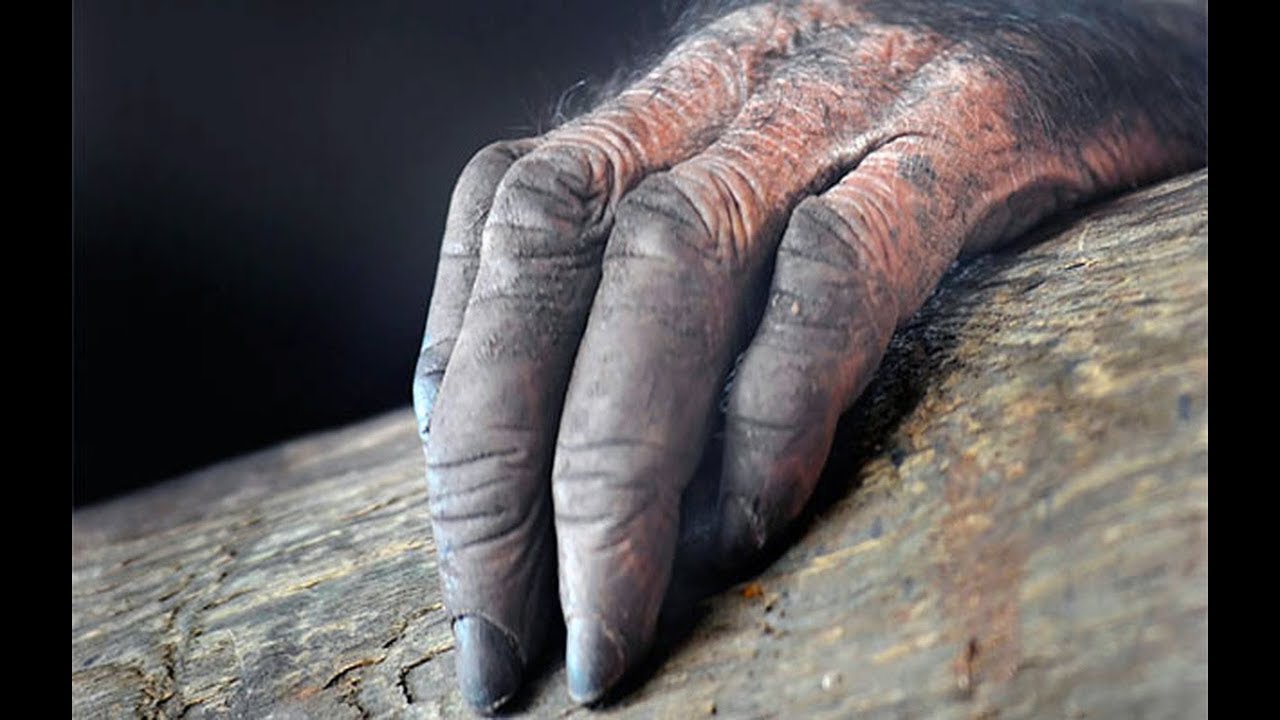 Страшная рука