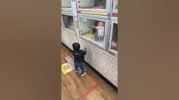 Happy dancing dog 🥰#funny #pet #dog #dogs #fouryou  #funnydog   #cute #doglove #dogfunny  #cutedog