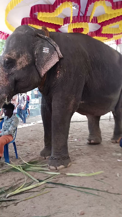 annatha pathaye the the na