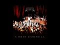 Chris cornell  like a stone songbook