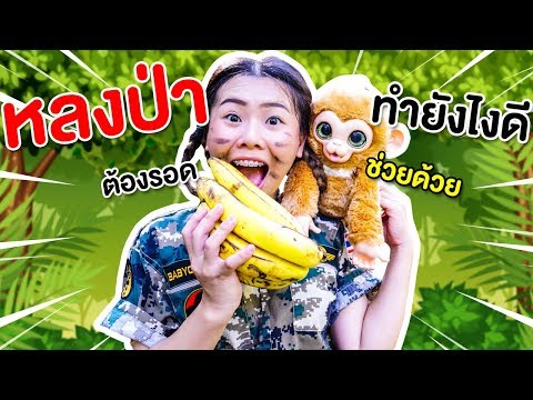 หลงป่าของจริงจะรอดไหม 9 วิธีเอาตัวรอดเมื่อหลงป่า | Pony Kids