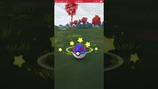 J’ai capturé un Chacripan shiny sur Pokémon GO