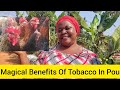 teeth whitening for tobacco stains Tobacco Stains Aren't Forever  Devine Dentist Can Help