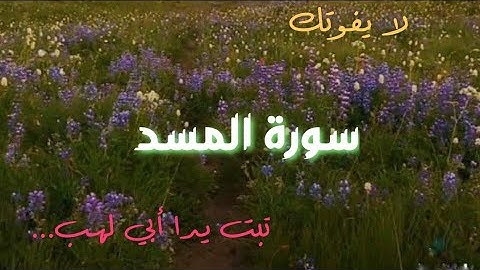 سورة المسد مكررة 40 مرة ( تبت يدا أبي لهب ... )