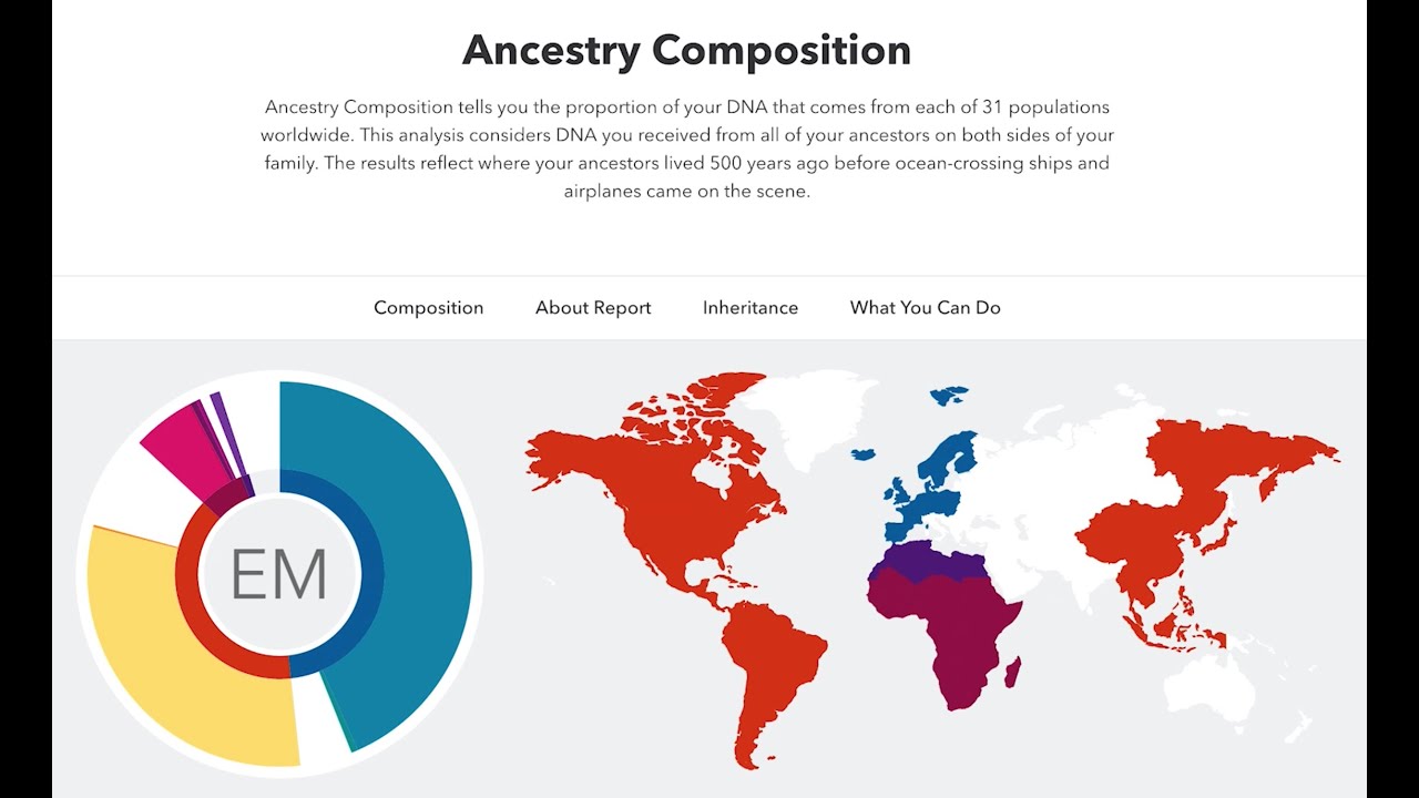 23andMe Reports Overview YouTube
