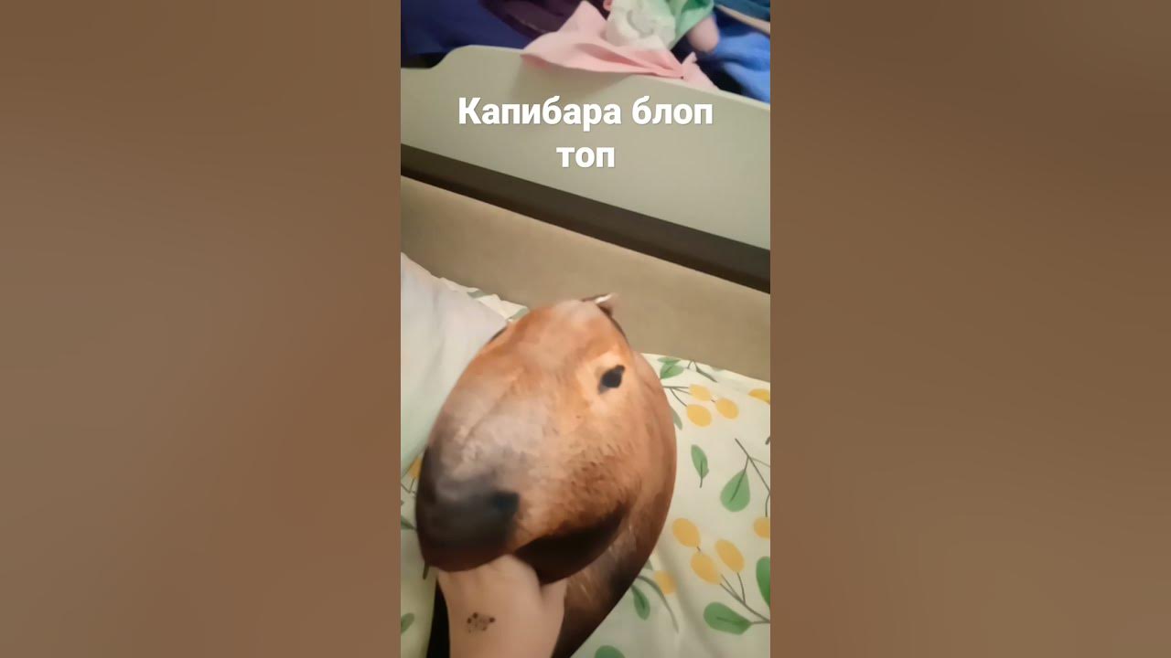 блоп топ - YouTube