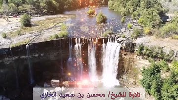 روائع التلاوات للشيخ محسن سعيد الغازي (٤)