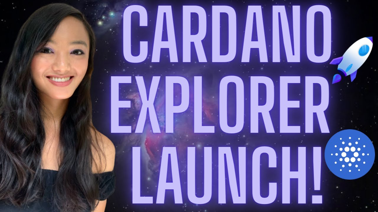 New Cardano Explorer Just Launched!