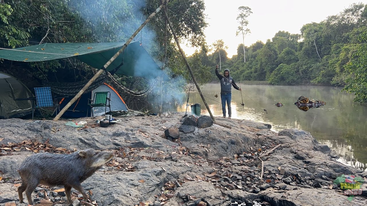 Entramos MATA a dentro e ACAMPAMOS às margens de um RIO com muita vida ANIMAL