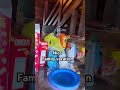 Nice family vacation