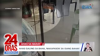 Ahas galing sa baha, nakapasok sa isang bahay | 24 Oras Weekend Ahas galing sa baha, nakapasok sa isang bahay | 24 Oras Weekend