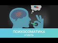 Плацебо и ноцебо эффекты в течении хронических заболеваний