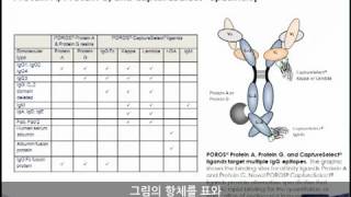 Poros Affinity Columns