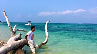 Isla de Enmedio 2021