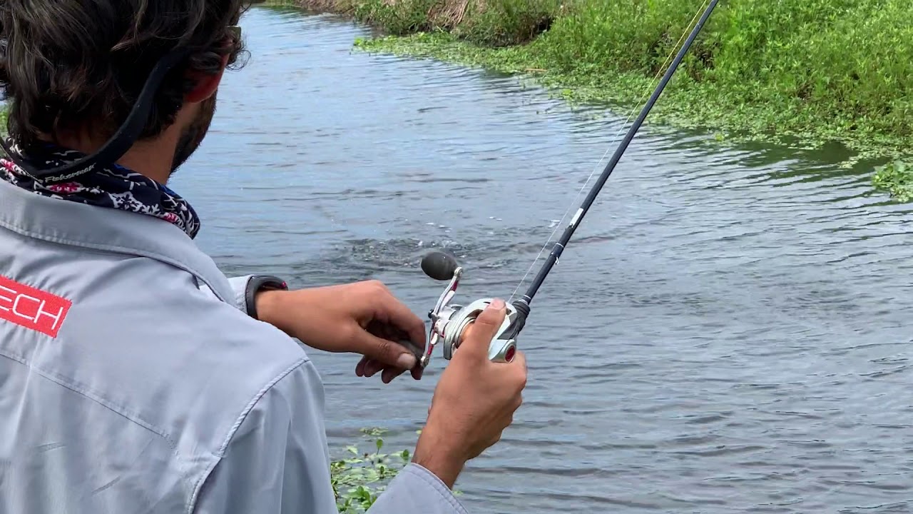 Lindo pique de tararira en un Gozio Lure 