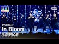 [SUPER ULTRA 8K] 제로베이스원 &#39;In Bloom&#39; 풀캠 (ZEROBASEONE FullCam) @SBS Inkigayo 230730