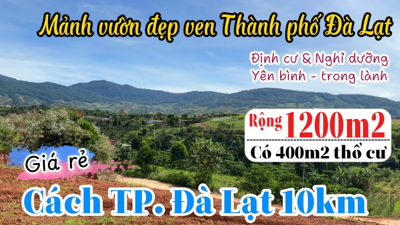 🏡Bán rẻ mảnh vườn đẹp ven TP. Đà Lạt rộng 1200m2 có 400m2 thổ cư cách Đà Lạt chỉ 10km sổ hồng riêng!