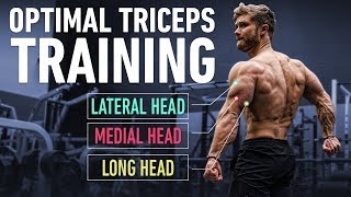 How To Build Huge Triceps with Optimal Training Technique screenshot 4