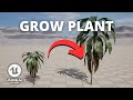 How to Make a Plant Grow With Time in Unreal Engine 5