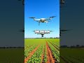 The Future of AI in Agriculture