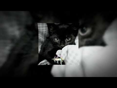 Монеточка – Ночной