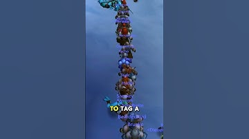 When 1 Million Players Logged into WoW