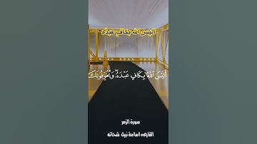 أليس الله بكافٍ عبده، سورة الزمر #قران_كريم #اسامة_نبيل