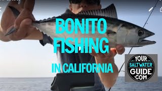 My nephew cameron, takes us on a typical day of bonito fish fishing in
california outside dana point. he shows you how to for bonito, what
jig...