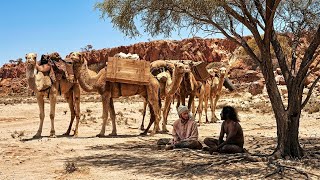 A Man Travels Across the Desert Carrying Gold to Find Freedom | Film/Movie Explained In Hindi/Urdu