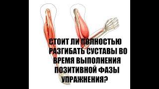 СТОИТ ЛИ ПОЛНОСТЬЮ РАЗГИБАТЬ СУСТАВЫ ВО ВРЕМЯ ВЫПОЛНЕНИЯ ПОЗИТИВНОЙ ФАЗЫ УПРАЖНЕНИЯ?