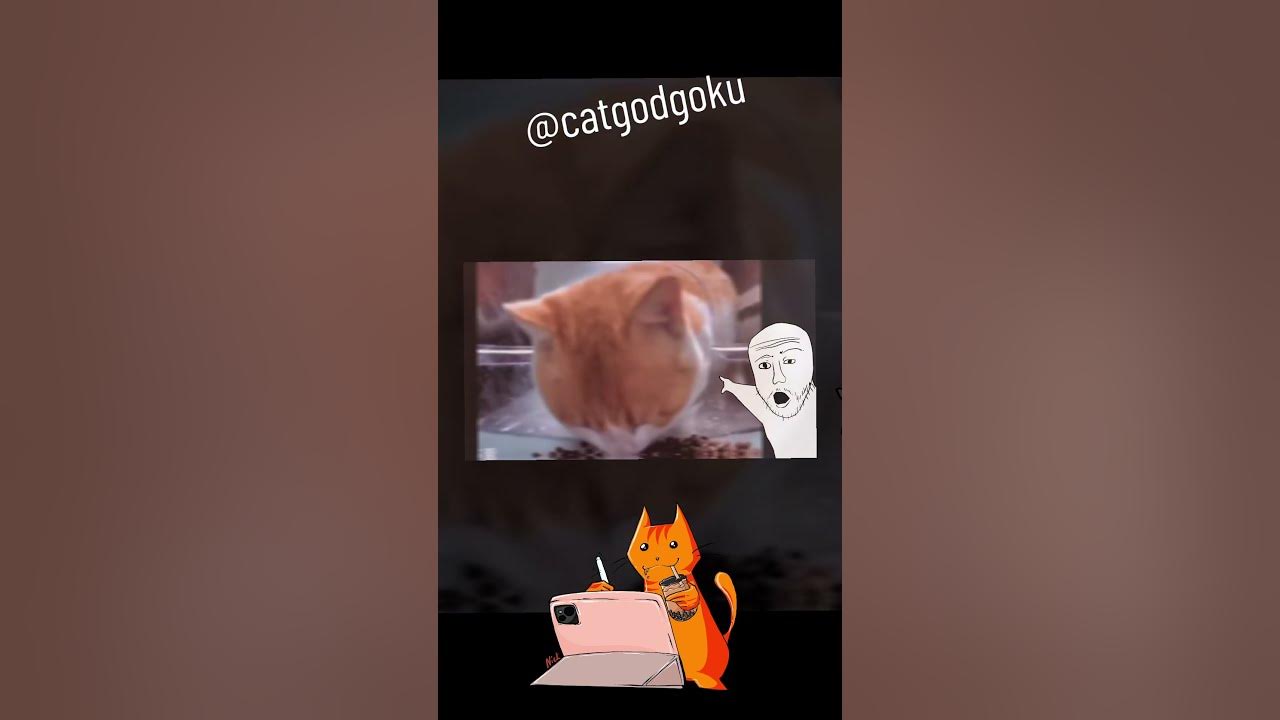 cat-eating-meme-animation-cat-memeanimation-catgod-catgodgoku-youtube