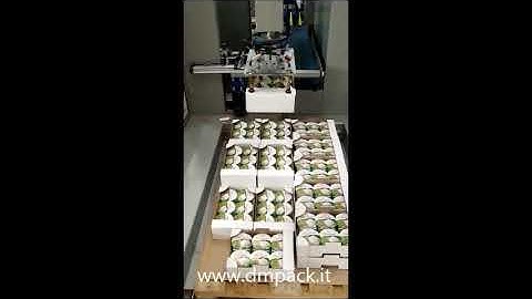 Cartesian Palletizer mod. TRON, in its compact version for food industry!