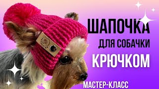 Стильная шапка с помпоном для собаки крючком: Подробный мастер-класс по вязанию