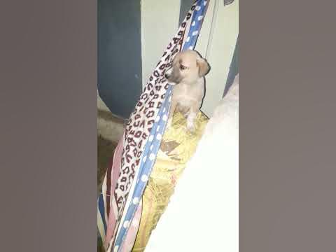 retro 11 december 2020