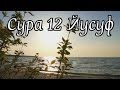 Сура 12 «Йусуф». Имад аль-Мансари