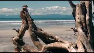 Ancient Earth Dinosaurs Of The Frozen Continent 2021 - Compsognathus And Ornithomimus Screen Time