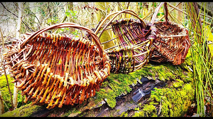 Make a Simple Foraging Basket