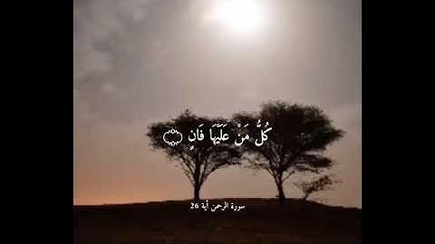 كُلُّ مَنْ عَلَيْهَا فَانٍ | سورة الرحمن | علي جابر