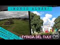 MONTE ALBÁN Y EL 🌳 CON EL TRONCO + GRANDE DEL 🌎 Y SU LEYENDA 🚨COMO VISITARLOS EN ⏱ DE 🦠 🚨