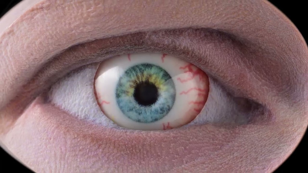 Stratasys J5 Digital Anatomy PolyJet 3D Printer - Introduction