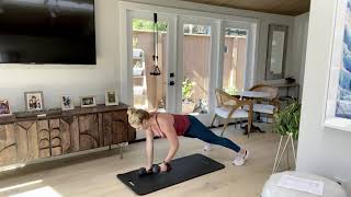Renegade Row to Tricep Push up to Plank Jack with modifications