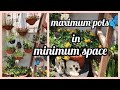 How I organize maximum planters in minimum space/using plant stands and decorate in different ways