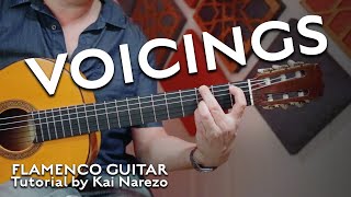 Flamenco Guitar Voicings Explained by Kai Narezo