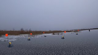 Первый лёд 2022-23! Расставили ЖЕРЛИЦЫ и установили подводные камеры!